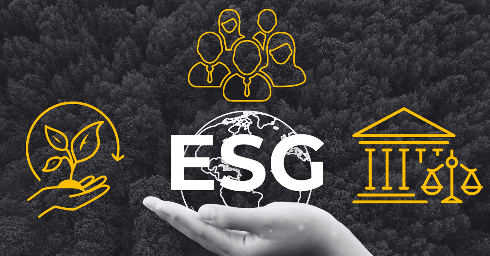 esg disclosure in 2024 requirements and solutions for esg reporting