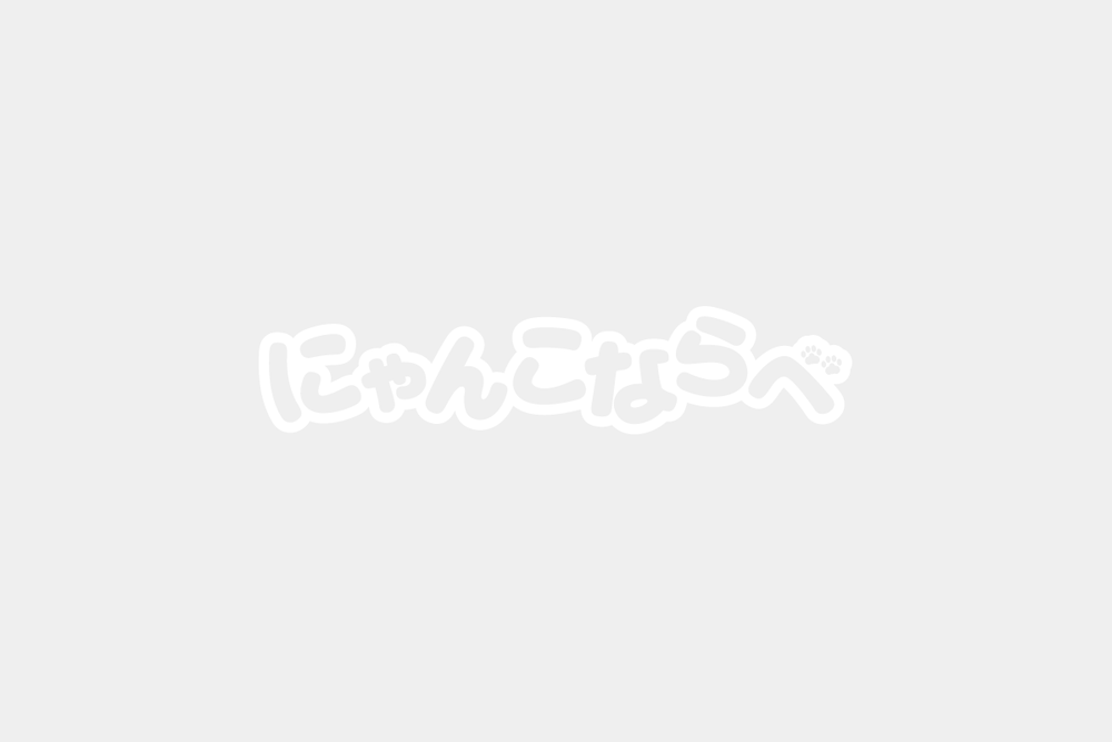 ゲームマーケット2024秋