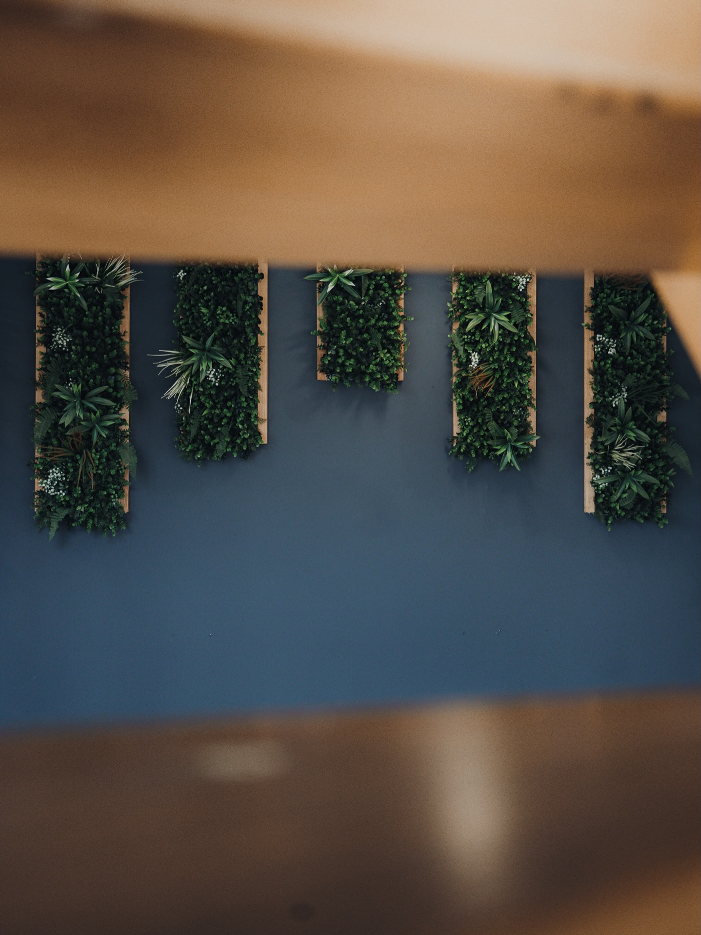 Plantes sur le mur de l'accueil