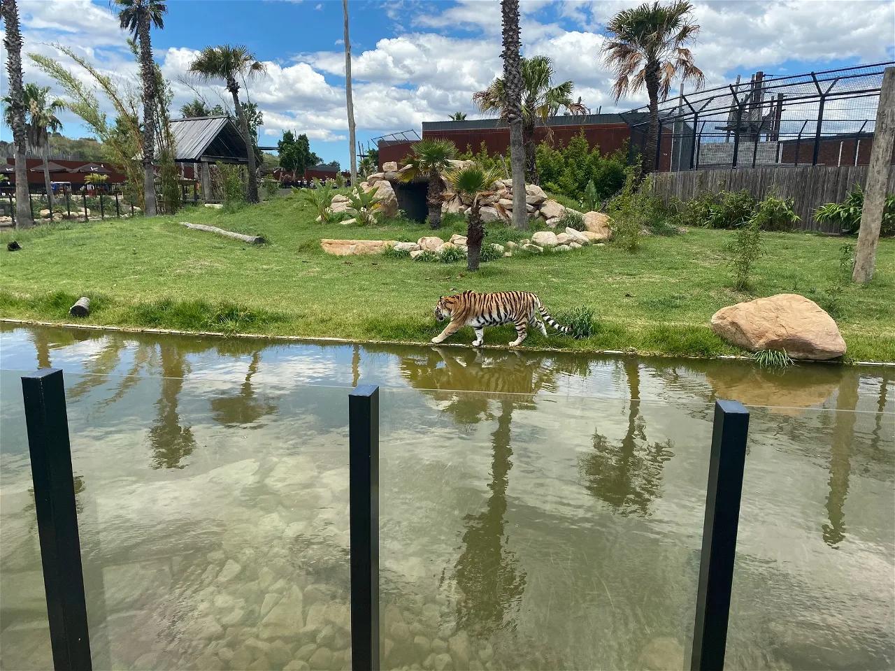 Inside Sydney Zoo's New Education Programs: What Teachers Need to Know