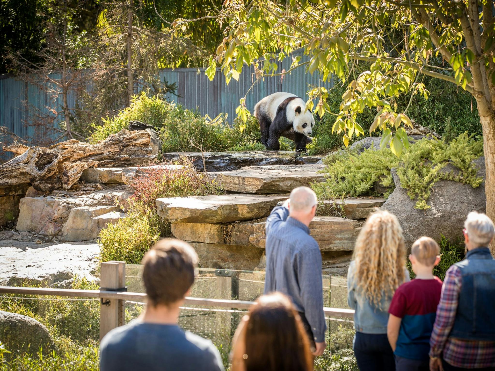 Adelaide Zoo