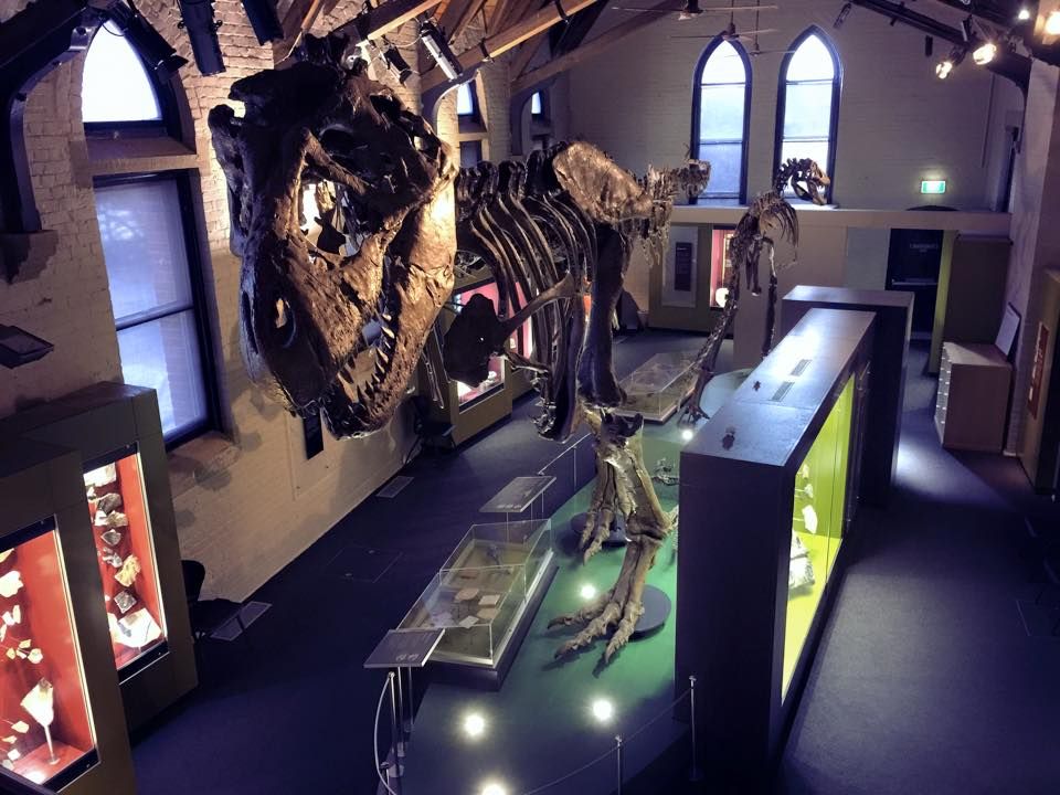 Australian Fossil and Mineral Museum
