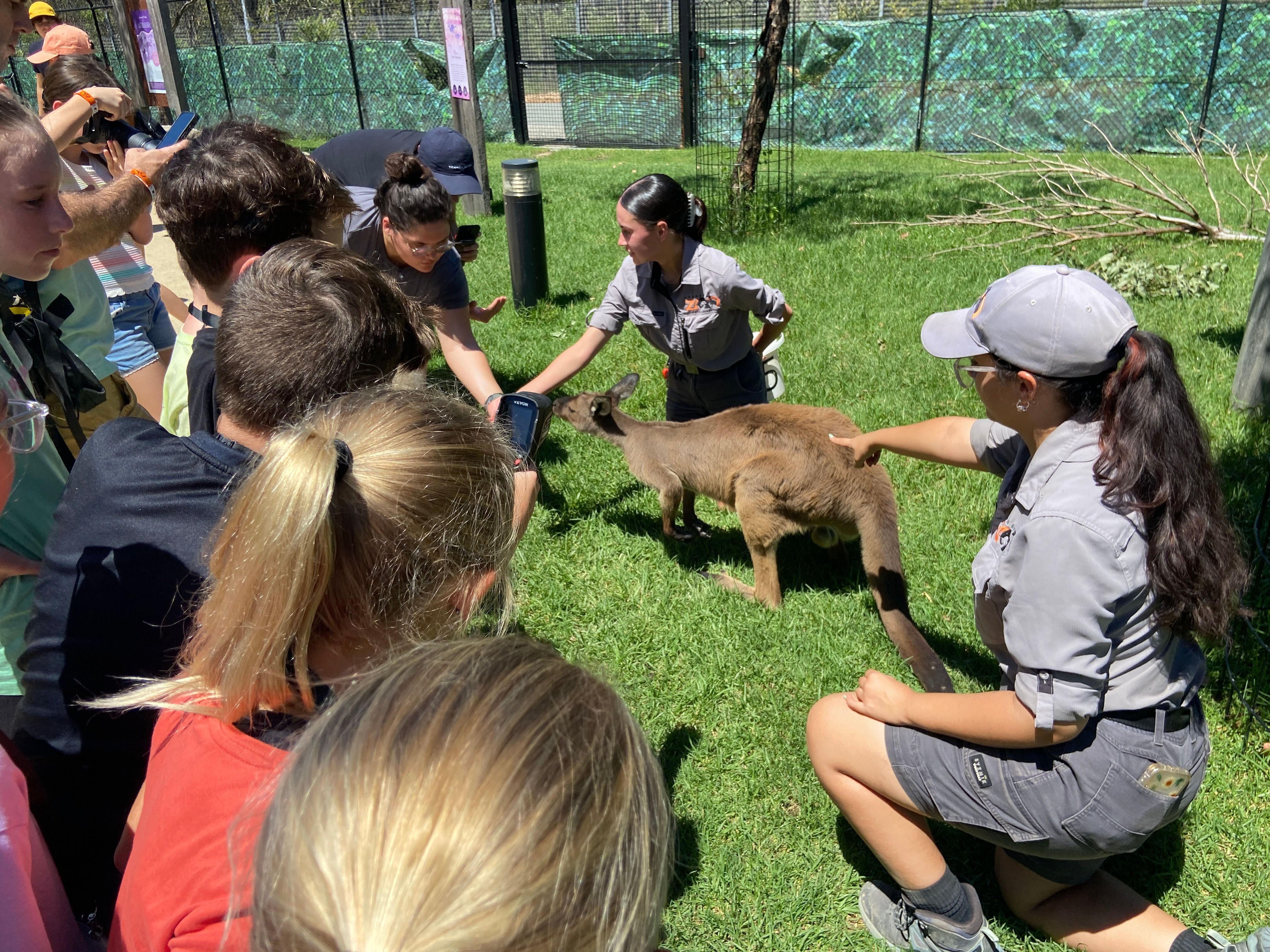 Sydney Zoo 