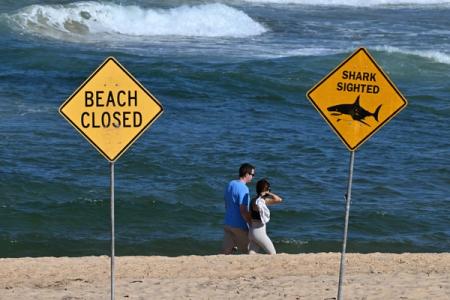 Yellow diamond-shaped warning signs reading 'Beach Closed' and 'Shark Sighted' positioned on a sandy beach in Sydney, with two beachgoers walking between the signs and blue-green ocean waves visible in the background