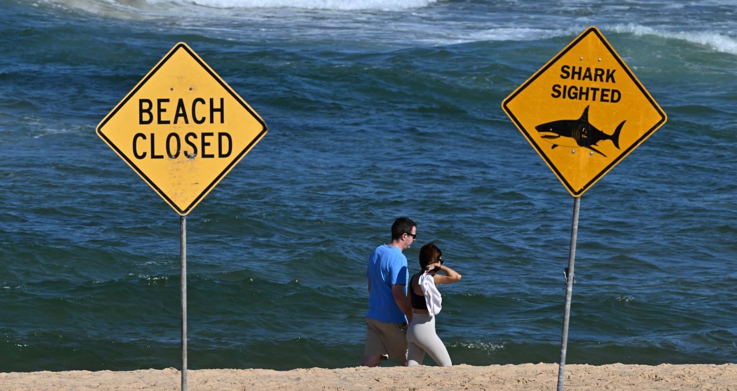 Yellow diamond-shaped warning signs reading 'Beach Closed' and 'Shark Sighted' positioned on a sandy beach in Sydney, with two beachgoers walking between the signs and blue-green ocean waves visible in the background