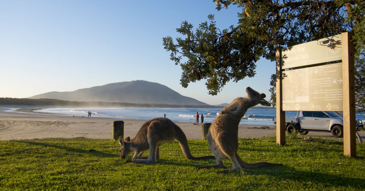 NSW National Parks and Wildlife Service - Blue Mountains 