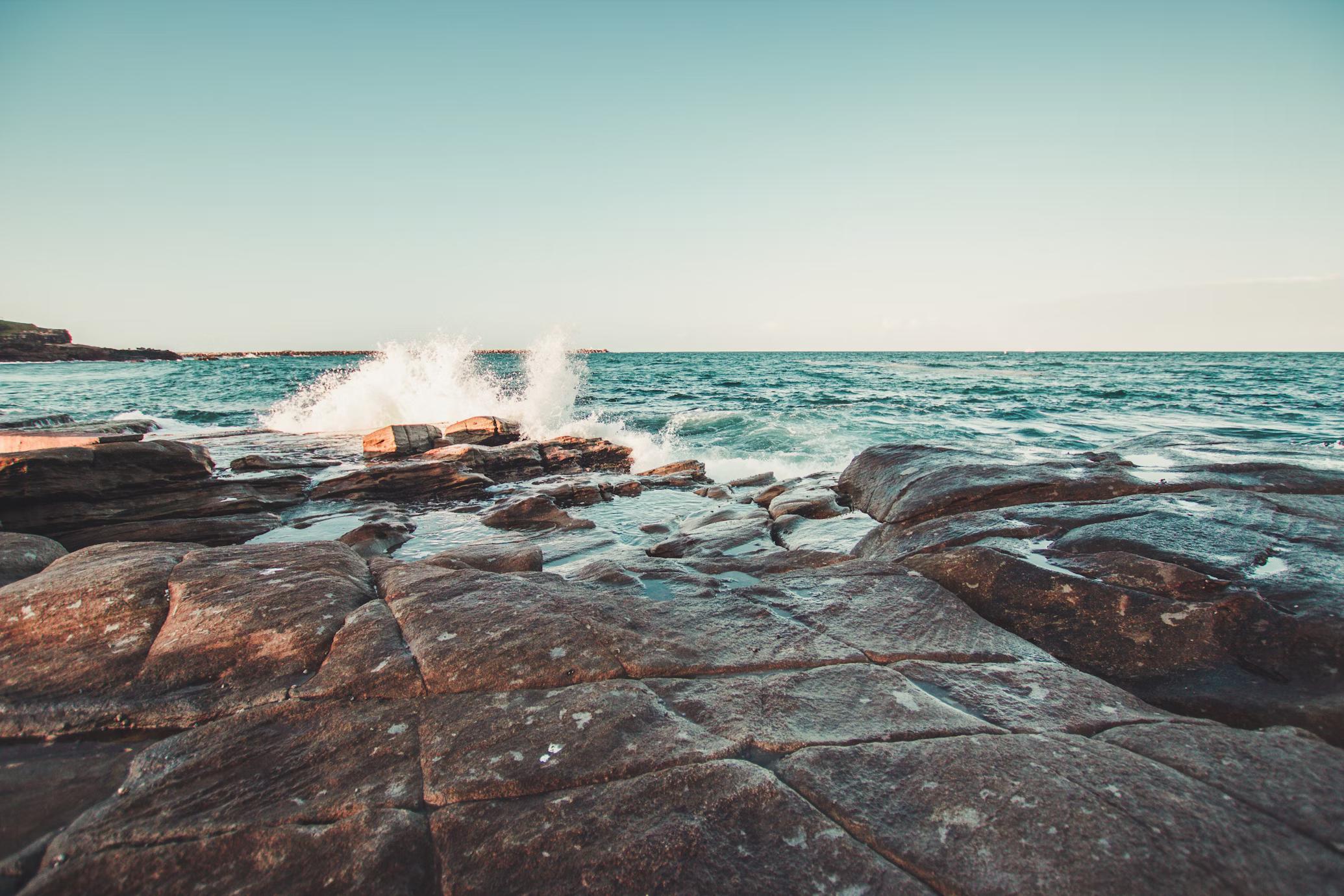 From Rockpools to Reefs: NSW Coastal Excursions for Every Year Level