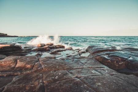 From Rockpools to Reefs: NSW Coastal Excursions for Every Year Level