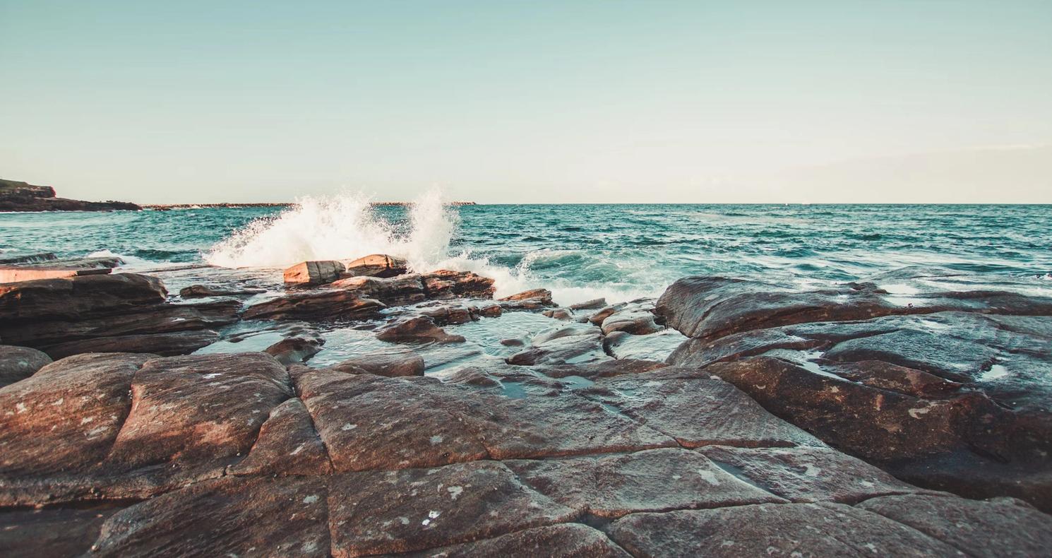 From Rockpools to Reefs: NSW Coastal Excursions for Every Year Level