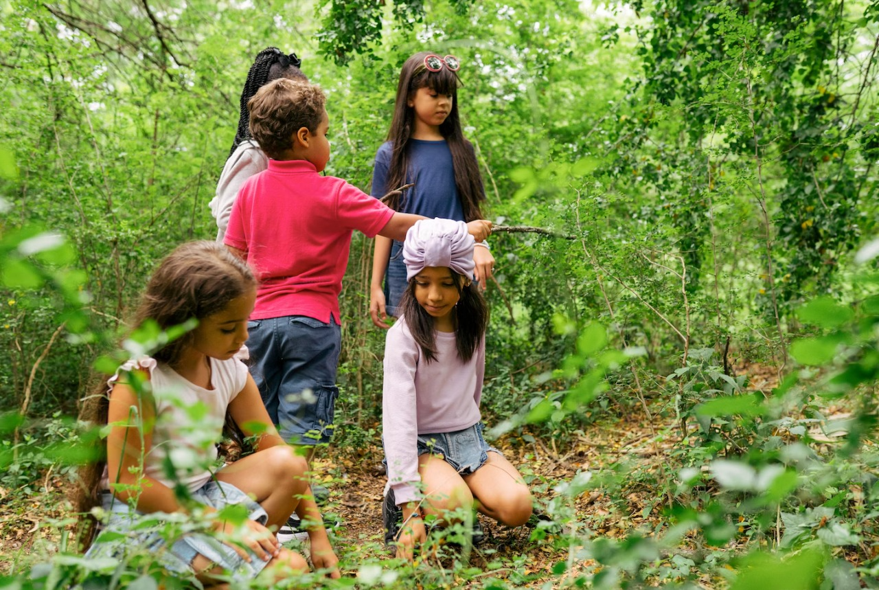 Environmental Education Programs in Victoria: Hands-On Learning About Sustainability for Schools