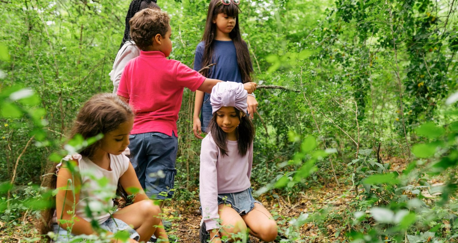 Environmental Education Programs in Victoria: Hands-On Learning About Sustainability for Schools