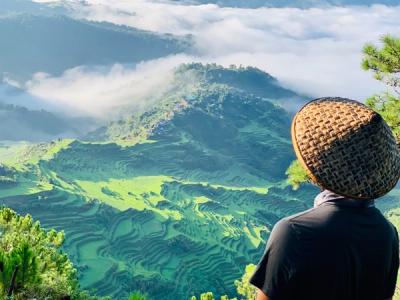 View over rice fields in Maligcong, Bontoc, Mountain Province, Philippines.