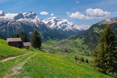 Cittadinanza svizzera