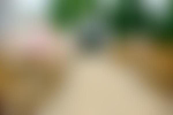 Was ist Alipay und funktioniert es in Deutschland?