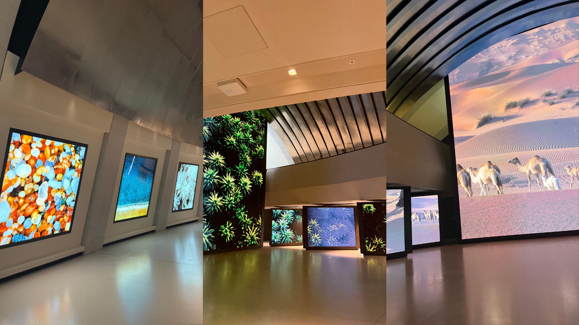 Zayed National Museum's Permanent Collection 