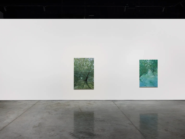 Alia Zaal - In Plain Sight