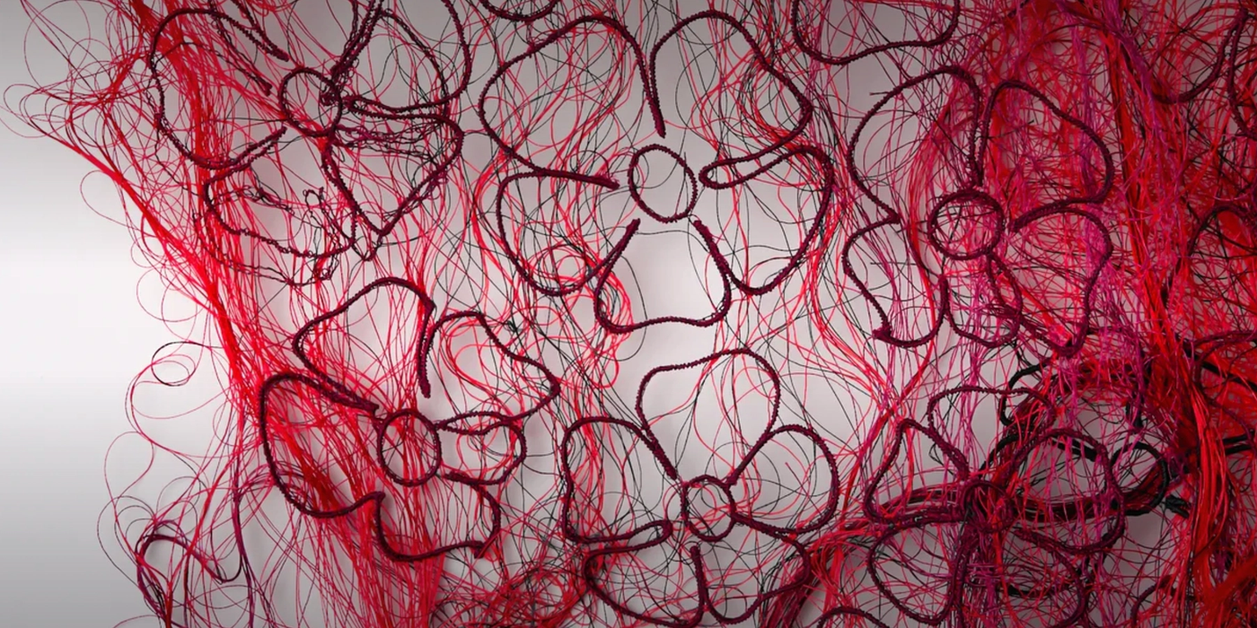 In circulation by Samar Hejazi