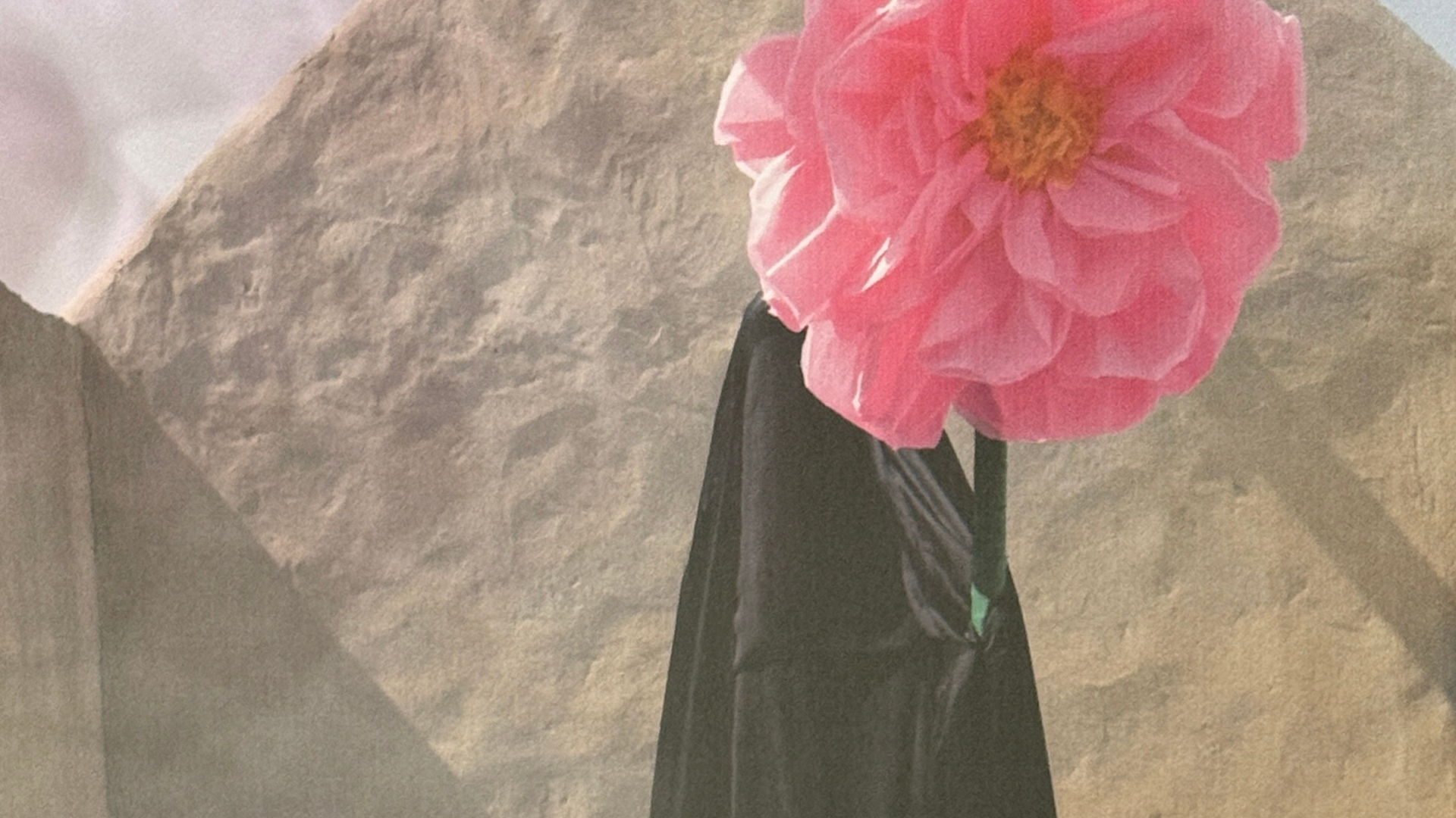 Becoming visible: Becoming Image 