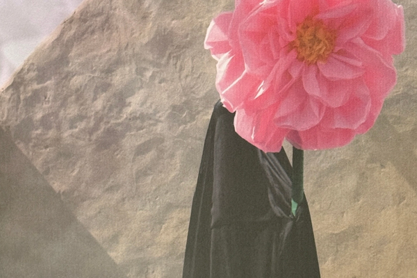Becoming visible: Becoming Image 