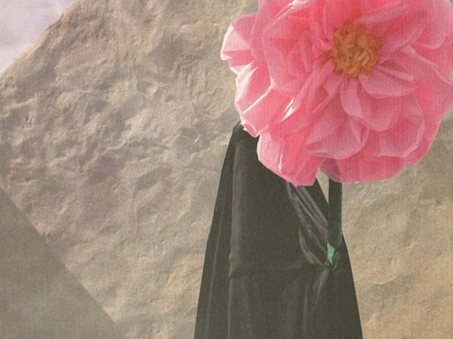 Becoming visible: Becoming Image