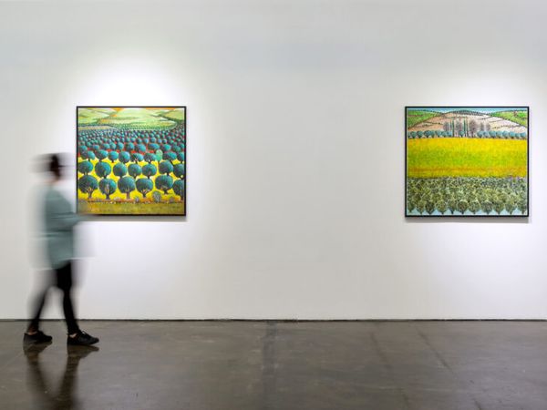 Zawyeh Gallery