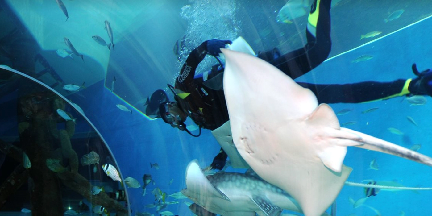 Sharjah Aquarium