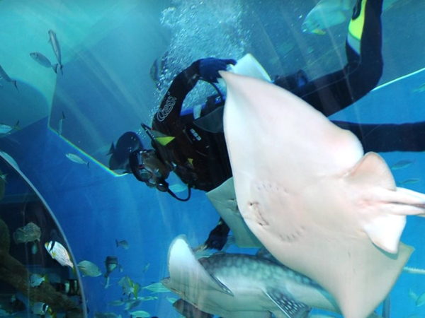 Sharjah Aquarium