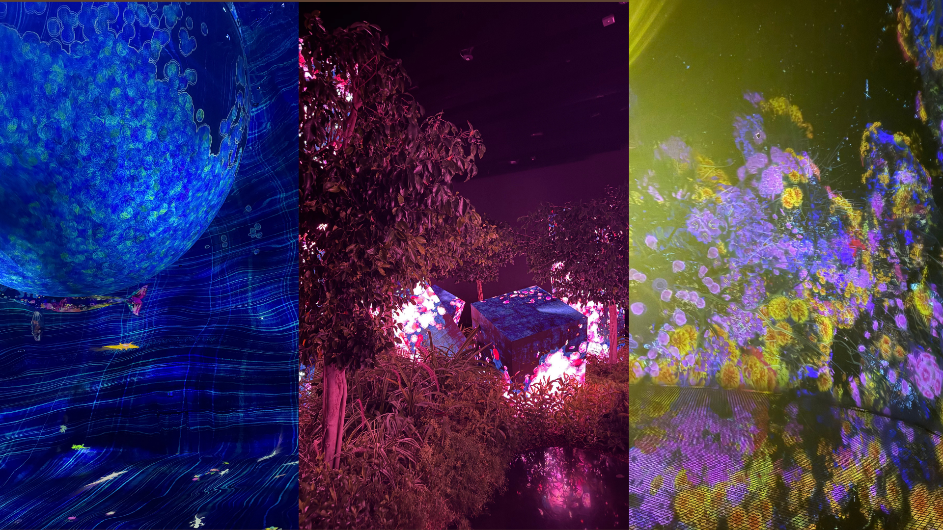 teamLab Phenomena
