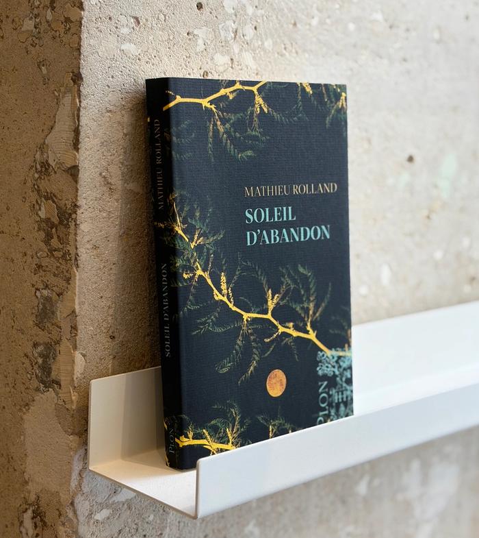 Soleil d'abandon de Mathieu Rolland 