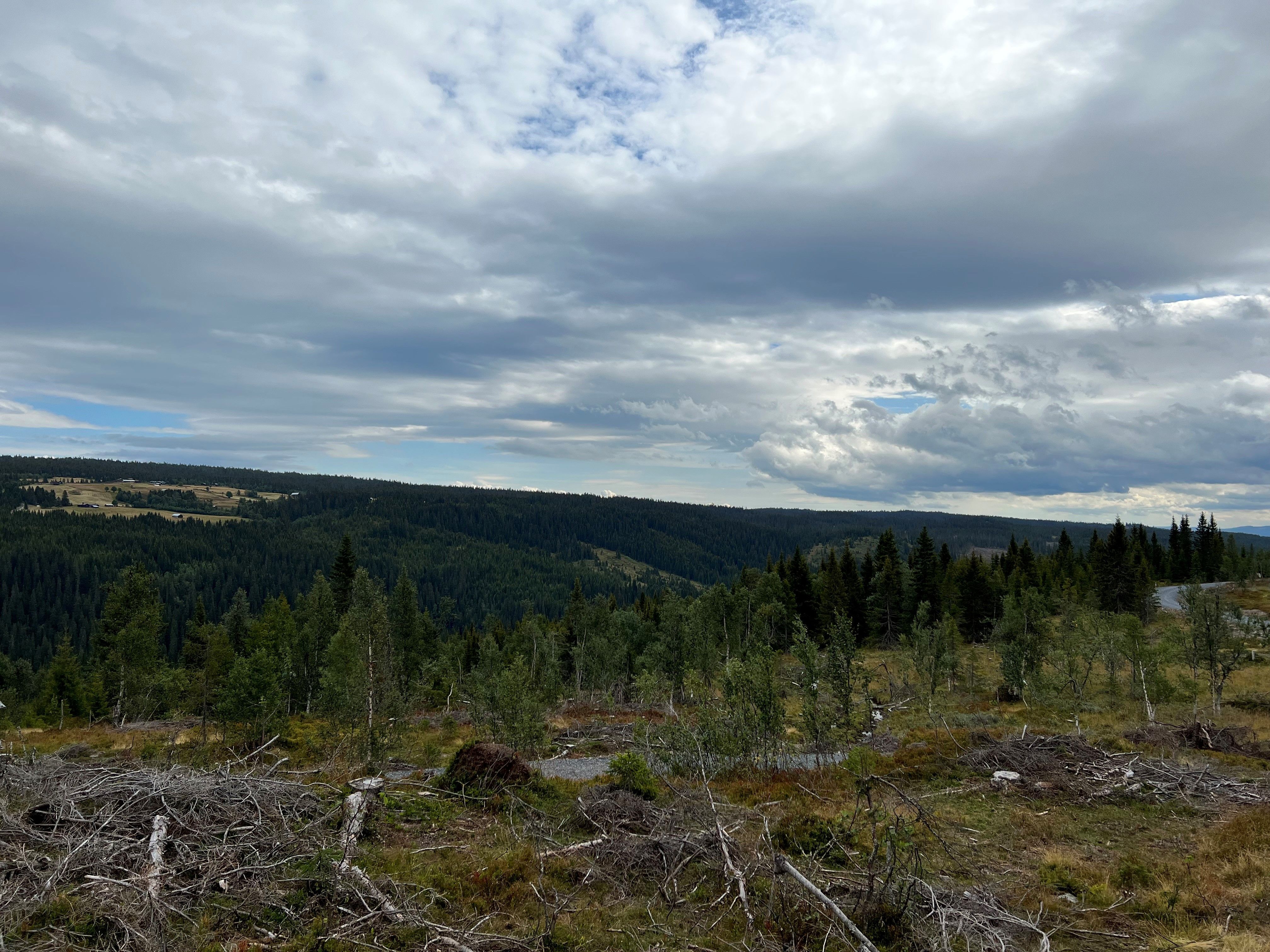 Skeikampen, Skåndalen Hyttegrend - Jøra Bygg AS