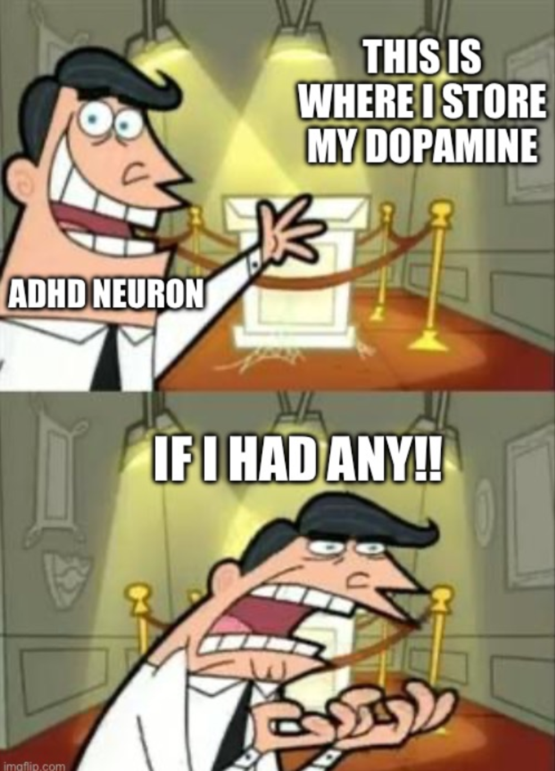 Adderall XR vs. Vyvanse: Key Similarities and Differences