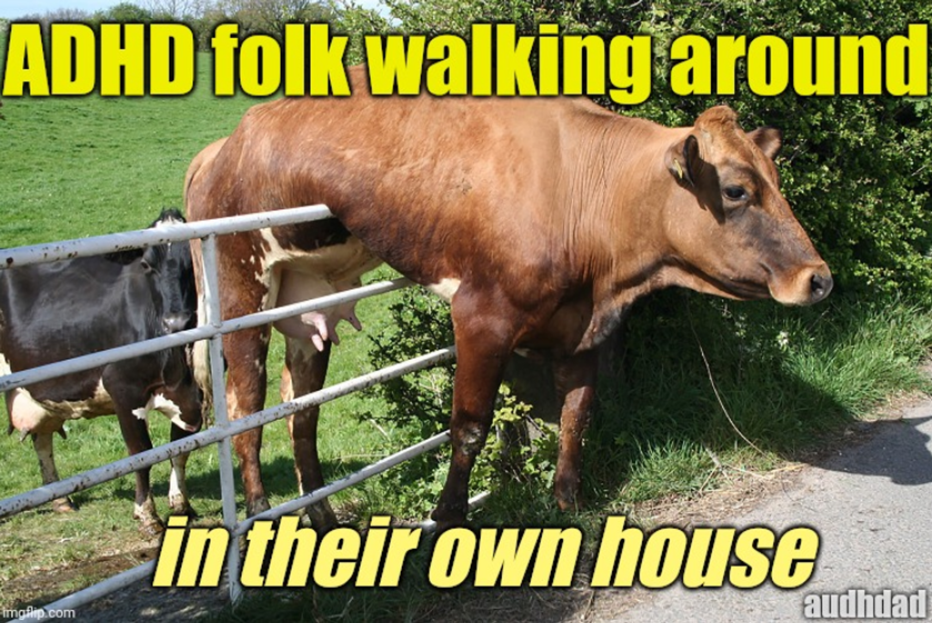 ADHD Walk: Is It a Thing?