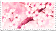 sakura-stamp