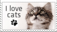 catcatcat