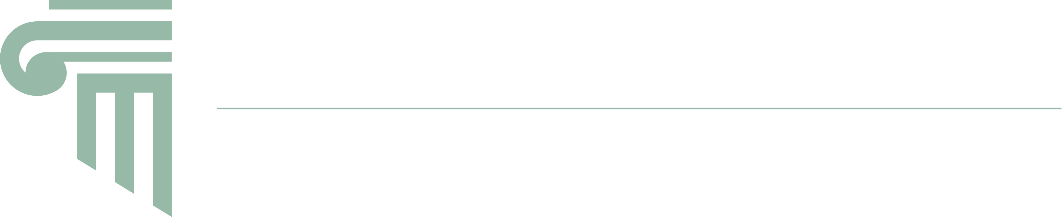 Firm Logo