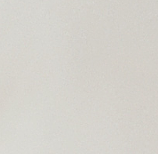 Slim Chino Short