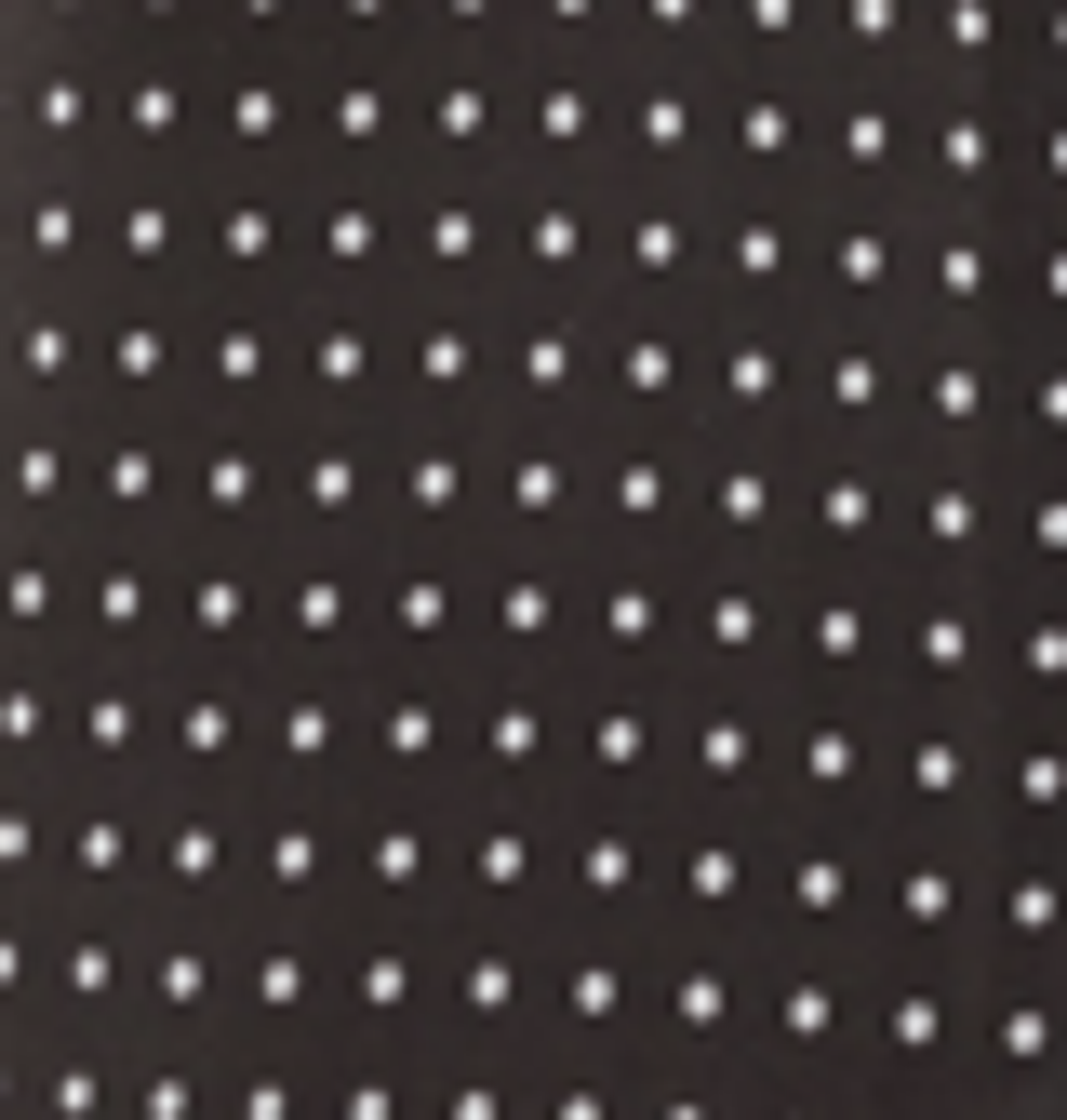 Border Stripe Resort Shirt