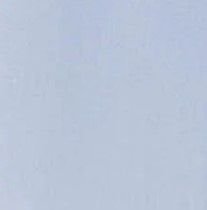 Oversized Oxford Shirt