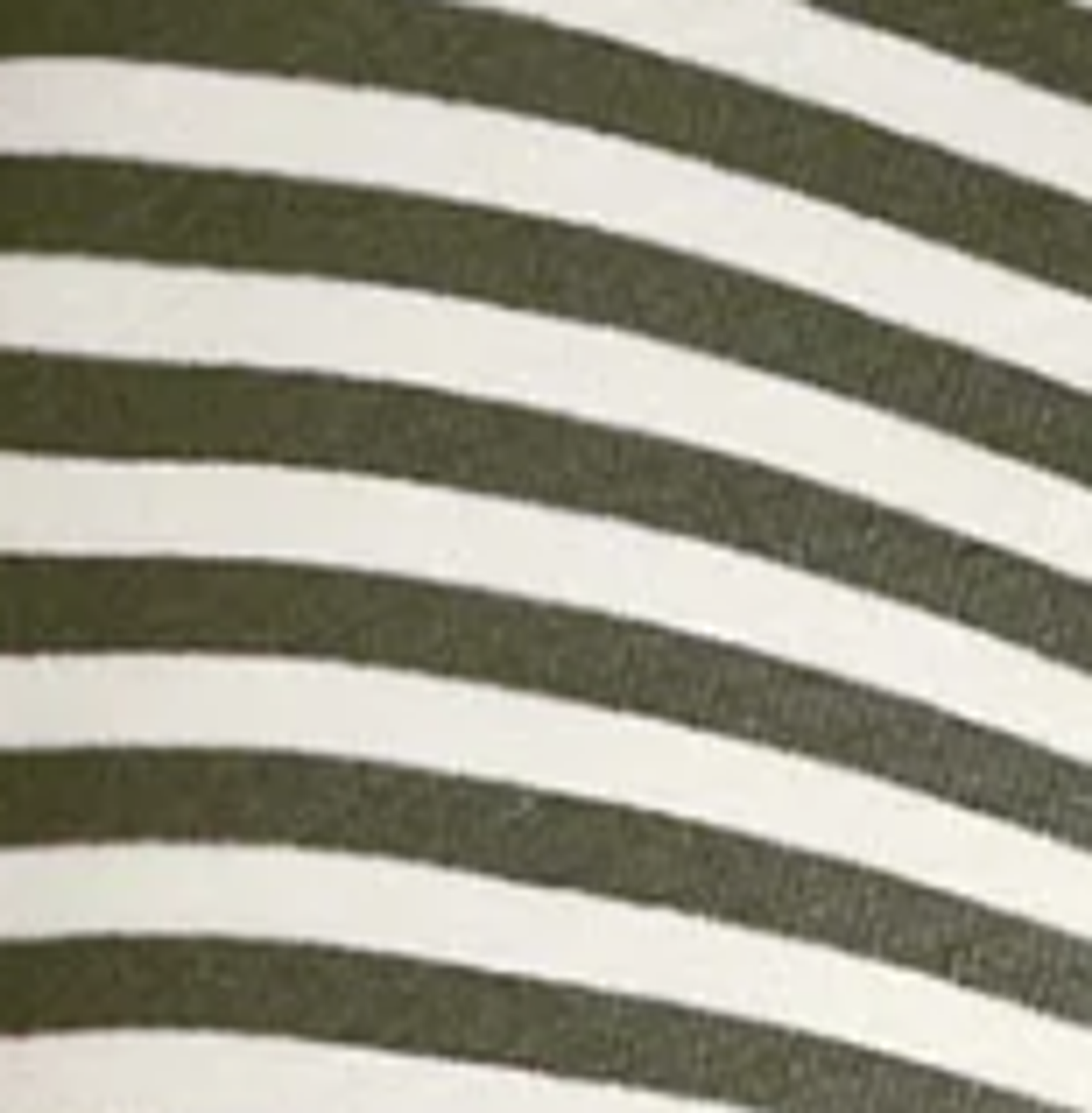 Stripe Wide Leg Pant