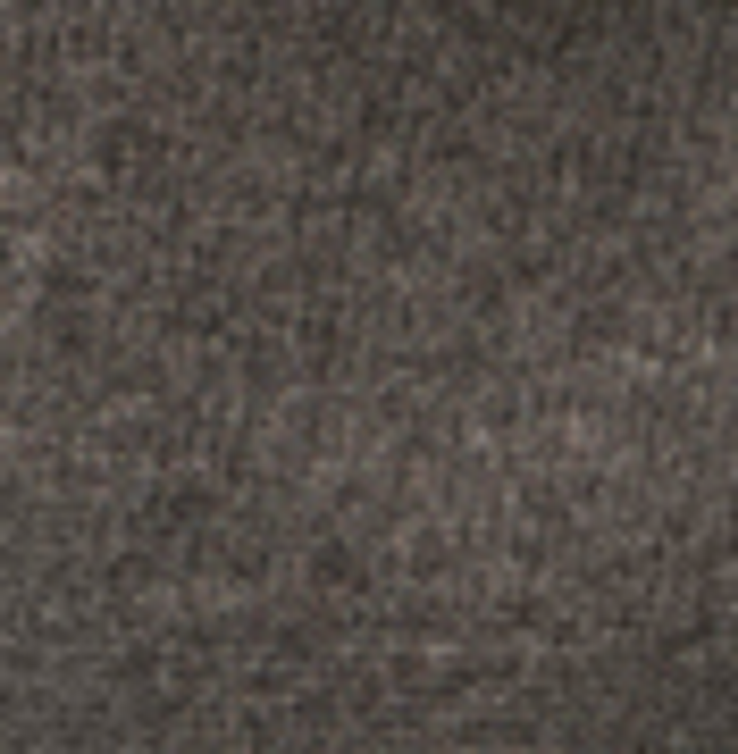 Tailored Pull On Pant