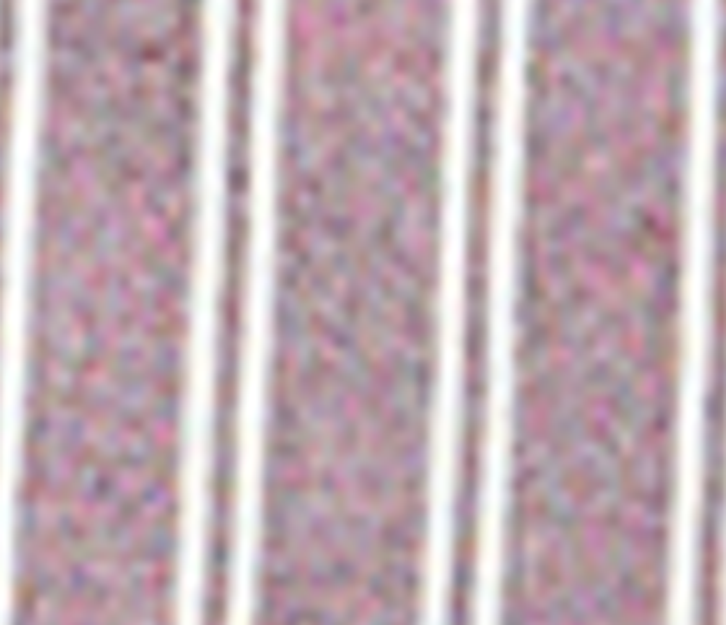 Oversized Oxford Shirt