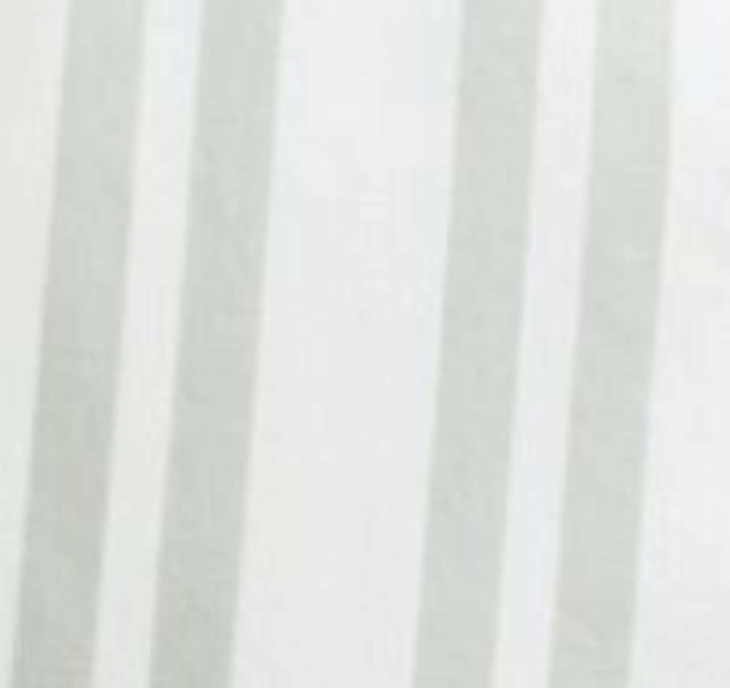 Poplin Regular Fit Shirt