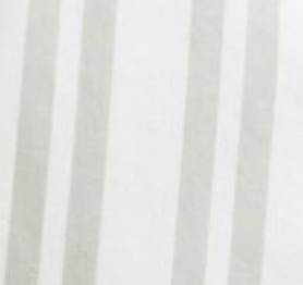 Poplin Regular Fit Shirt