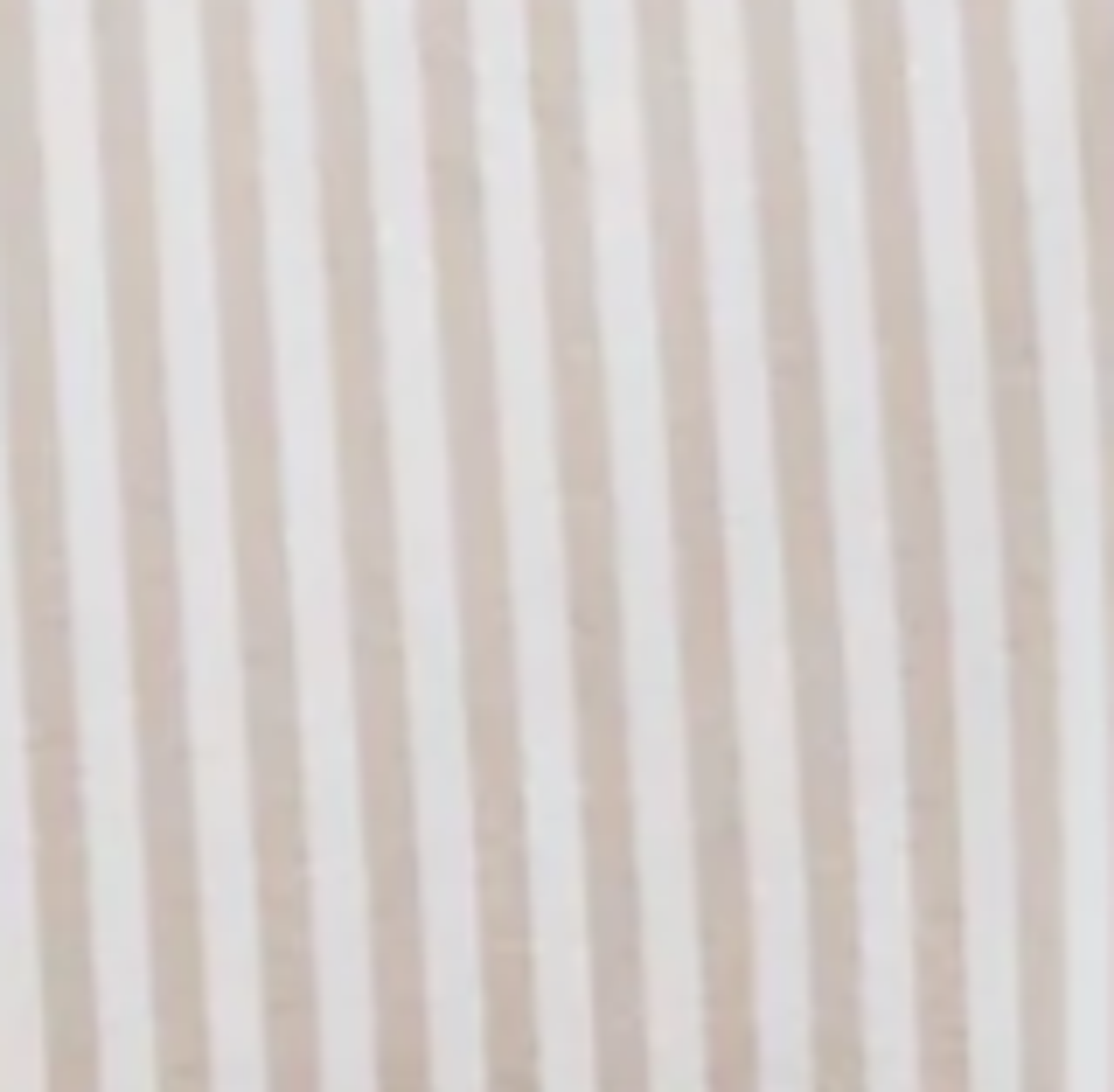 Poplin Regular Fit Shirt