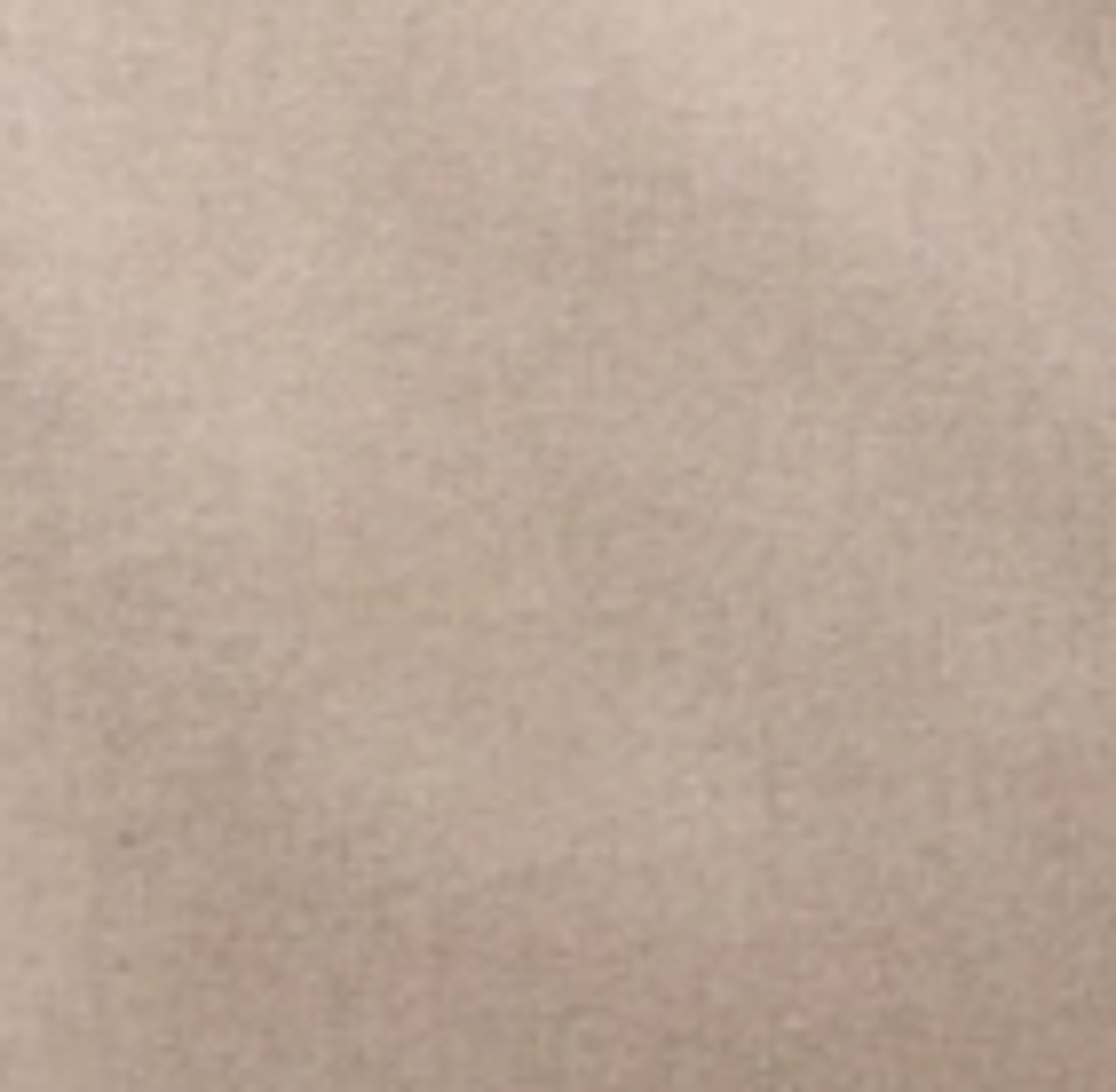 Linen Regular Fit Shirt