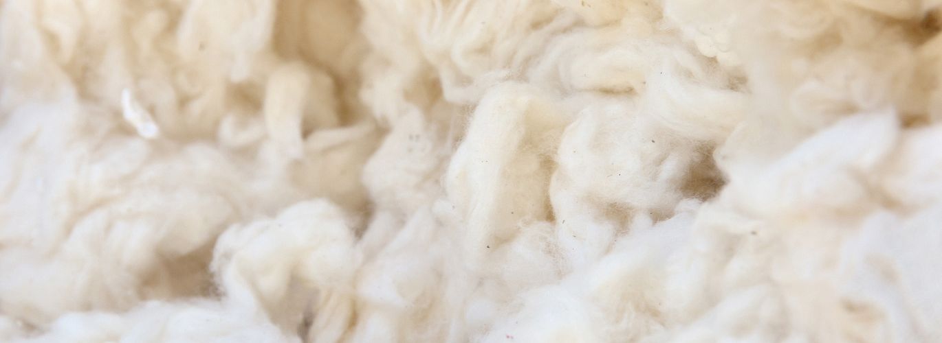 Wool