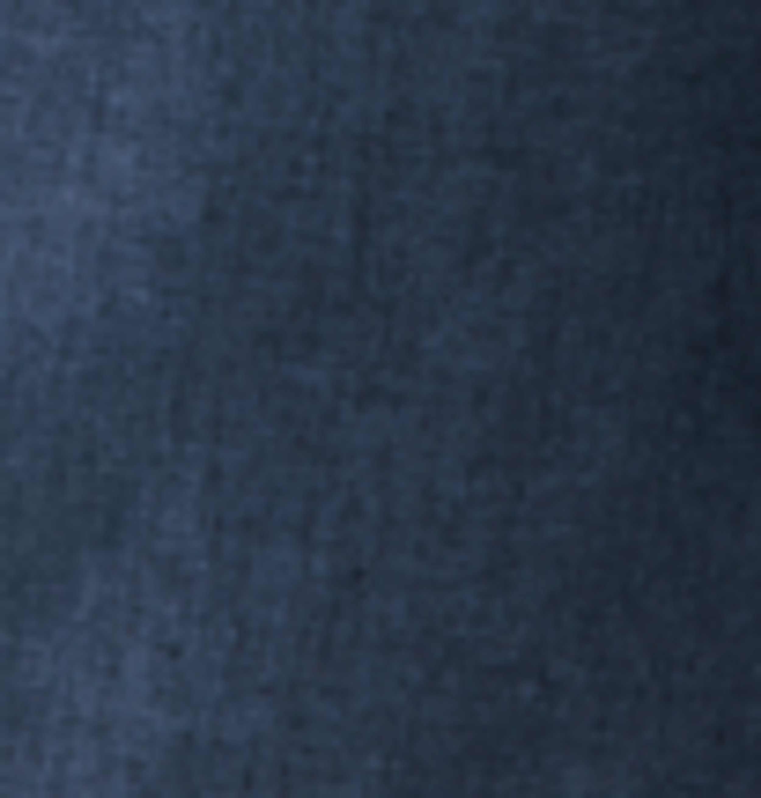 Linen Regular Fit Shirt