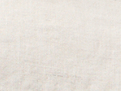 Portland Linen Short