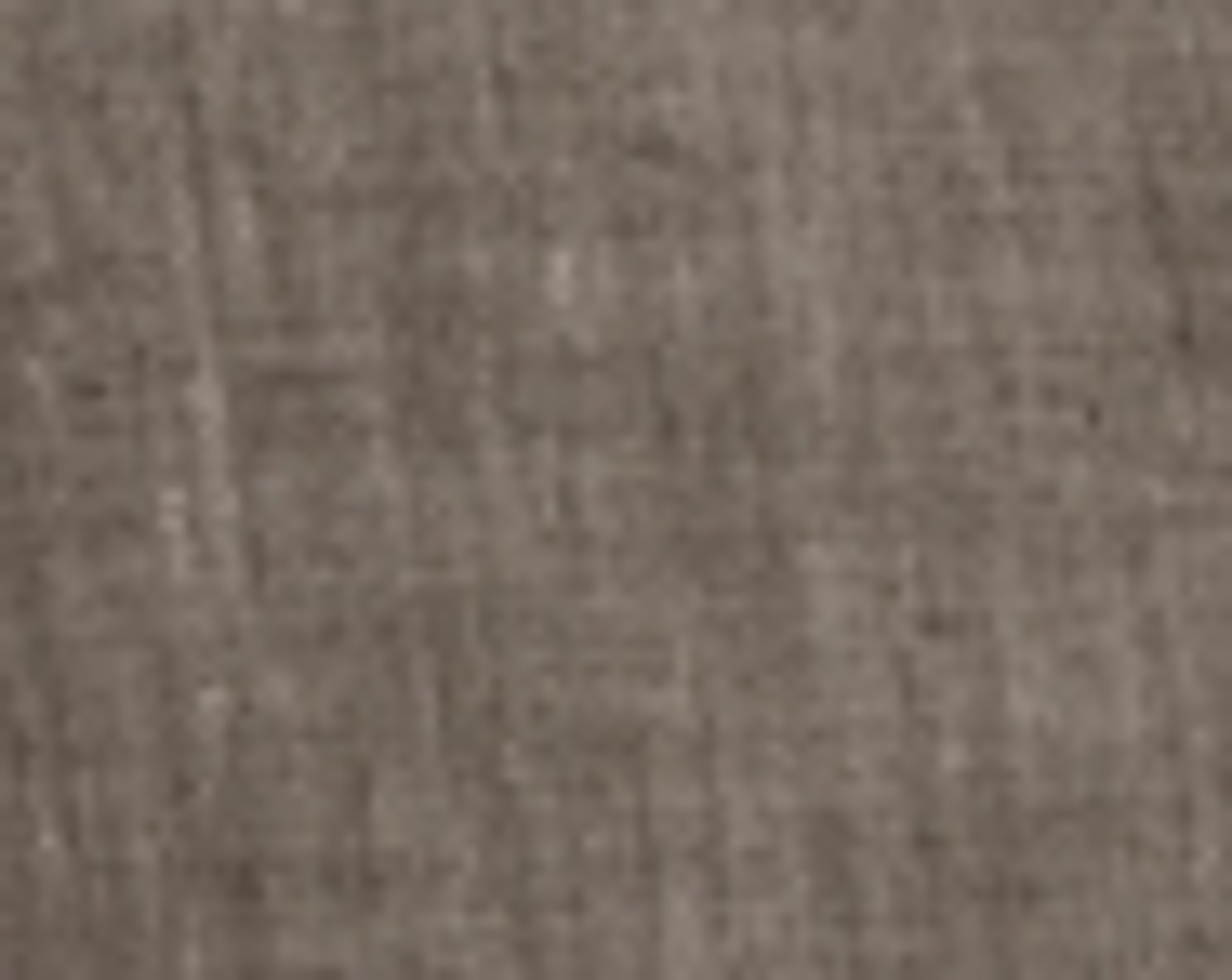 Casual Relaxed Fit Shirt