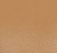 Brighton Leather Thong